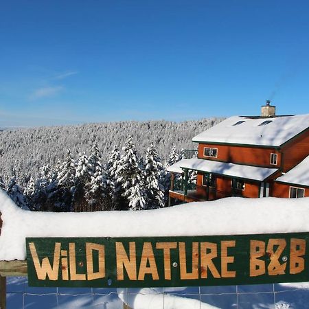 Wild Nature B&B Келоуна Екстер'єр фото