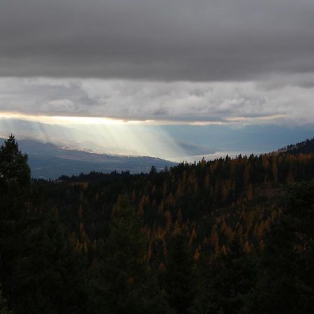 Wild Nature B&B Келоуна Екстер'єр фото